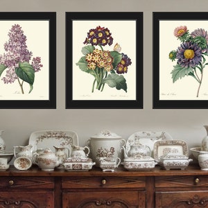 Purple Violet Lilac Aster Botanical Wall Art Set of 3 Prints Beautiful Antique Vintage Flowers Spring Garden Plants Home Decor to Frame REDT