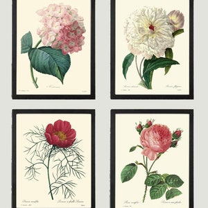 Pivoine Blanche Rouge Rose Hortensia Botanique Art Mural Ensemble de 4 Impressions Belles Fleurs Vintage Antiques Intérieur Floral Intérieur Décoration pour Encadrer REDT