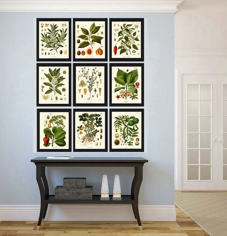 Herbs and Spices Print Set Botanical Wall Art of 9 Prints Beautiful ...
