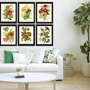 Botanical Prints Wall Decor Art Set of 6 Beautiful Vintage Antique ...