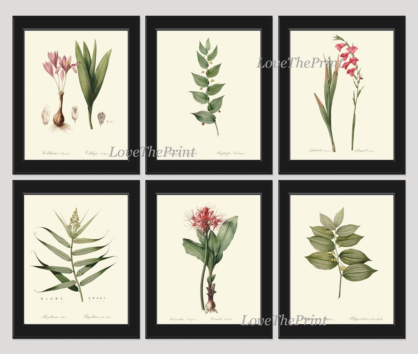 Botanical Prints Wall Art Set of 6 Beautiful Antique Vintage Pink Leaf ...