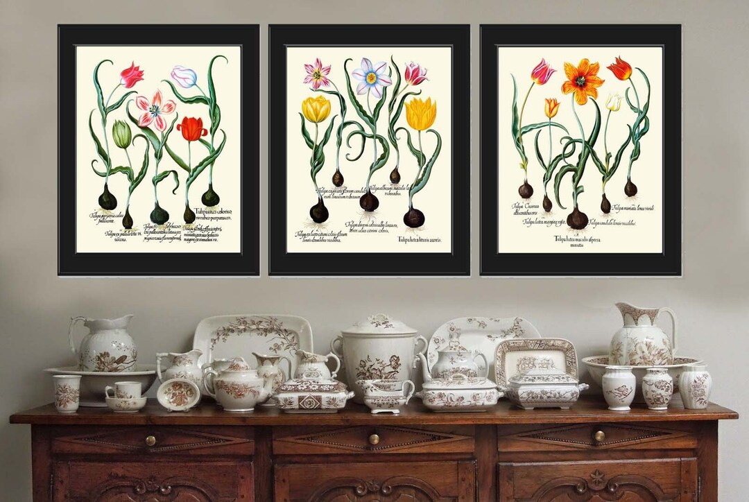 Tulips Botanical Prints Wall Art Set of 3 Beautiful Antique Vintage Red ...