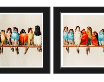 Vintage Birds Wall Art Print Set of 2 Beautiful Antique Red Cardinal Bluebird Cabin Cottage Farm Rustic Country Home Decor to Frame CLEA