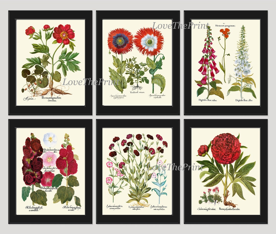 Red Burgundy Botanical Wall Art Print Set of 6 Beautiful Flowers Peony ...