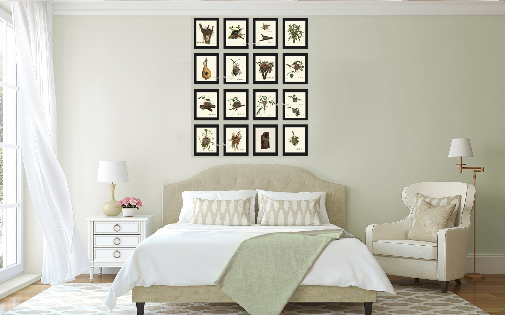 Vintage Bird Nest Prints Large Wall Art Gallery Set of 16 Beautiful ...
