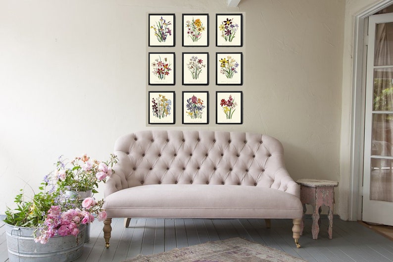 Wildflowers Botanical Wall Art Set of 9 Prints Beautiful Vintage ...