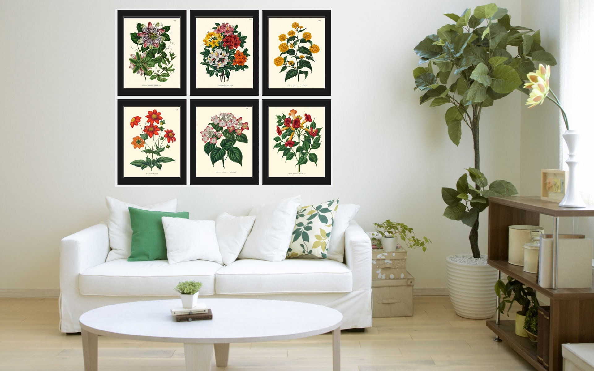 Botanical Prints Wall Art Set of 6 Beautiful Vintage Antique Passion ...