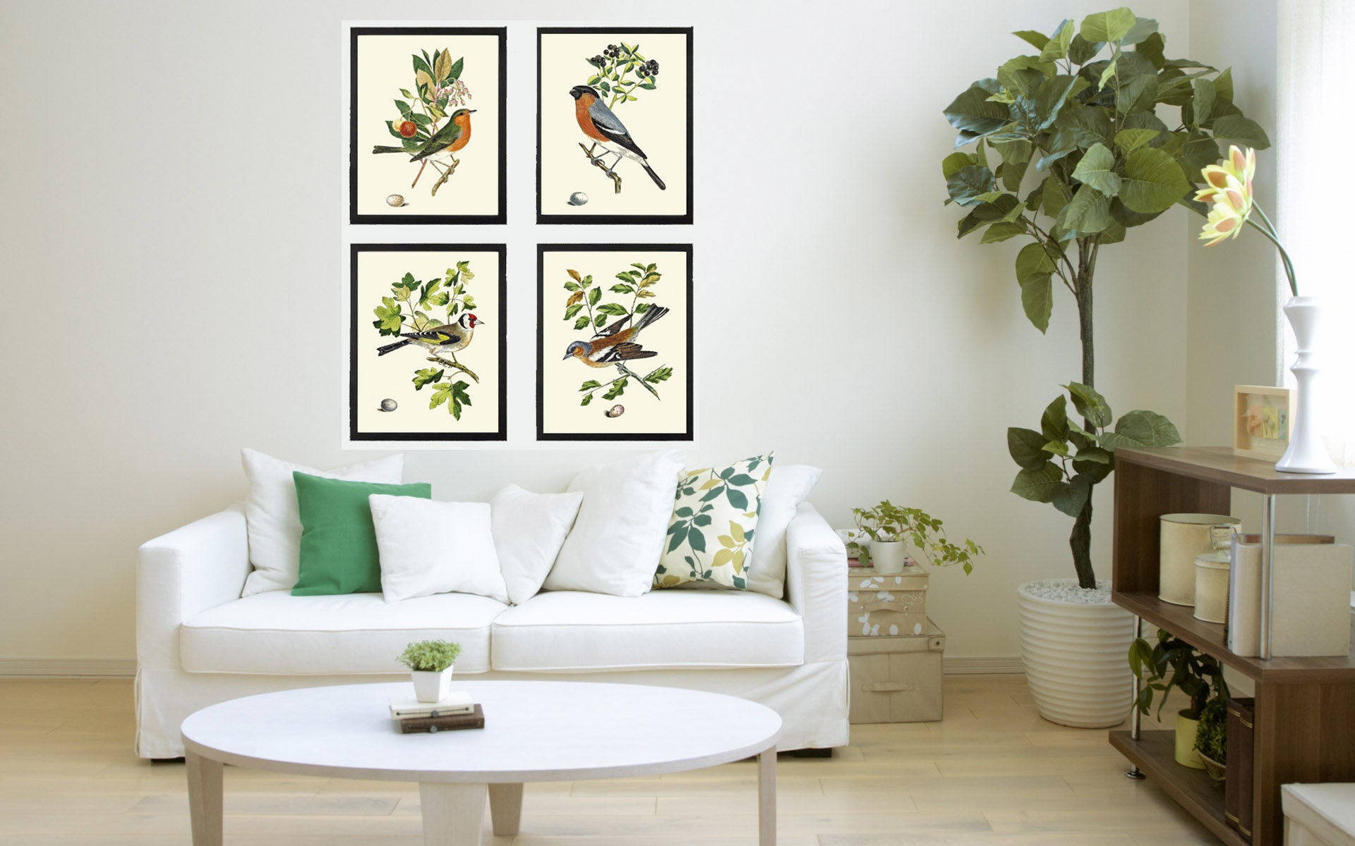 Vintage Bird Wall Art Print Set of 4 Beautiful Nature Bedroom Office ...