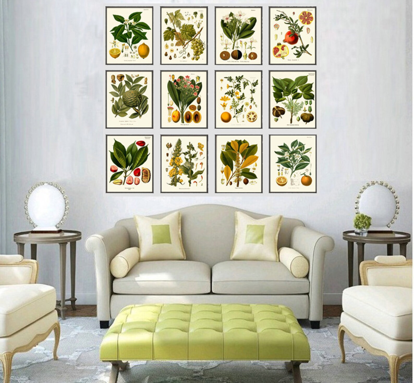 Tropical Fruit Botanical Wall Art Set of 12 Prints Beautiful Antique ...