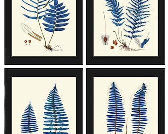 Vintage Blue Fern Prints Wall Art Set of 4 Beautiful Antique Forest Nature Illustration Watercolor Interior Design Home Decor to Frame HWB