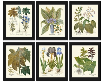 Botanical Print Set, Botanical Prints,  Art Prints, Giclee, Blue Botanical Prints, Gallery Art, Wall Art, Blue Flower Prints to Frame BESL