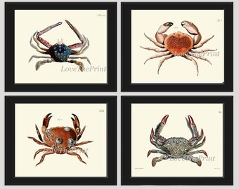 Vintage Crab Prints Juego de arte de pared de 4 hermosos cangrejos rojos azules Mar Océano Náutico Marino Ciencia de la naturaleza De la casa decoración del hogar para enmarcar CRAB