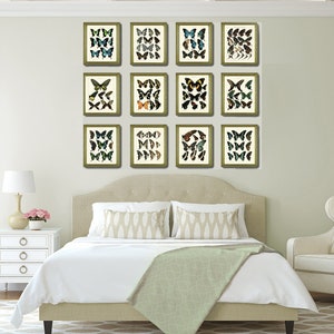 Vintage Butterflies Wall Art Set of 12 Prints Beautiful Antique ...