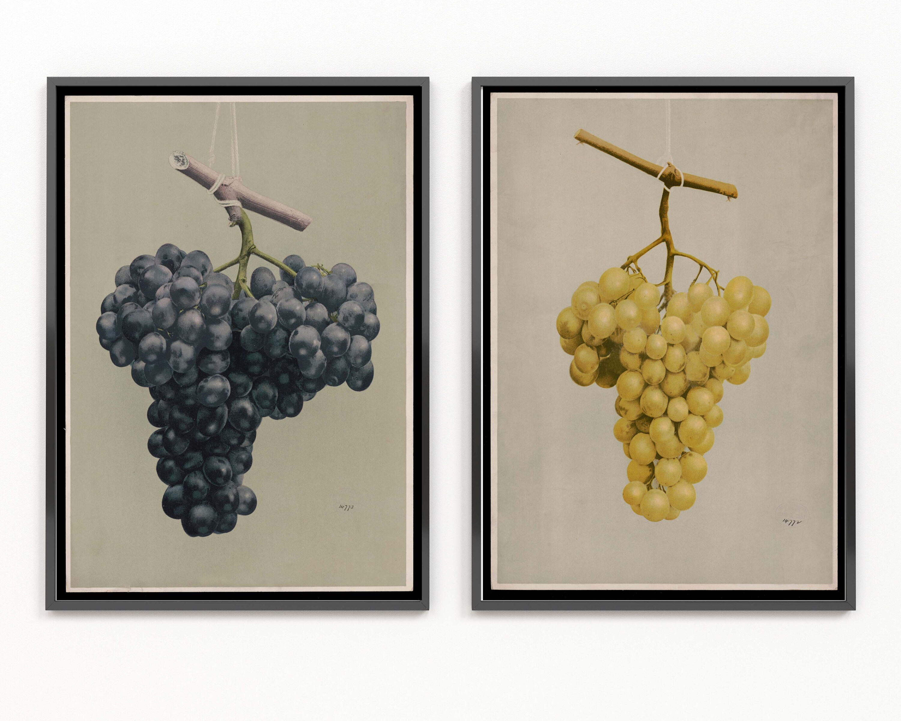 ブドウ フルーツ プリント ウォールアート 2枚セット 美しい