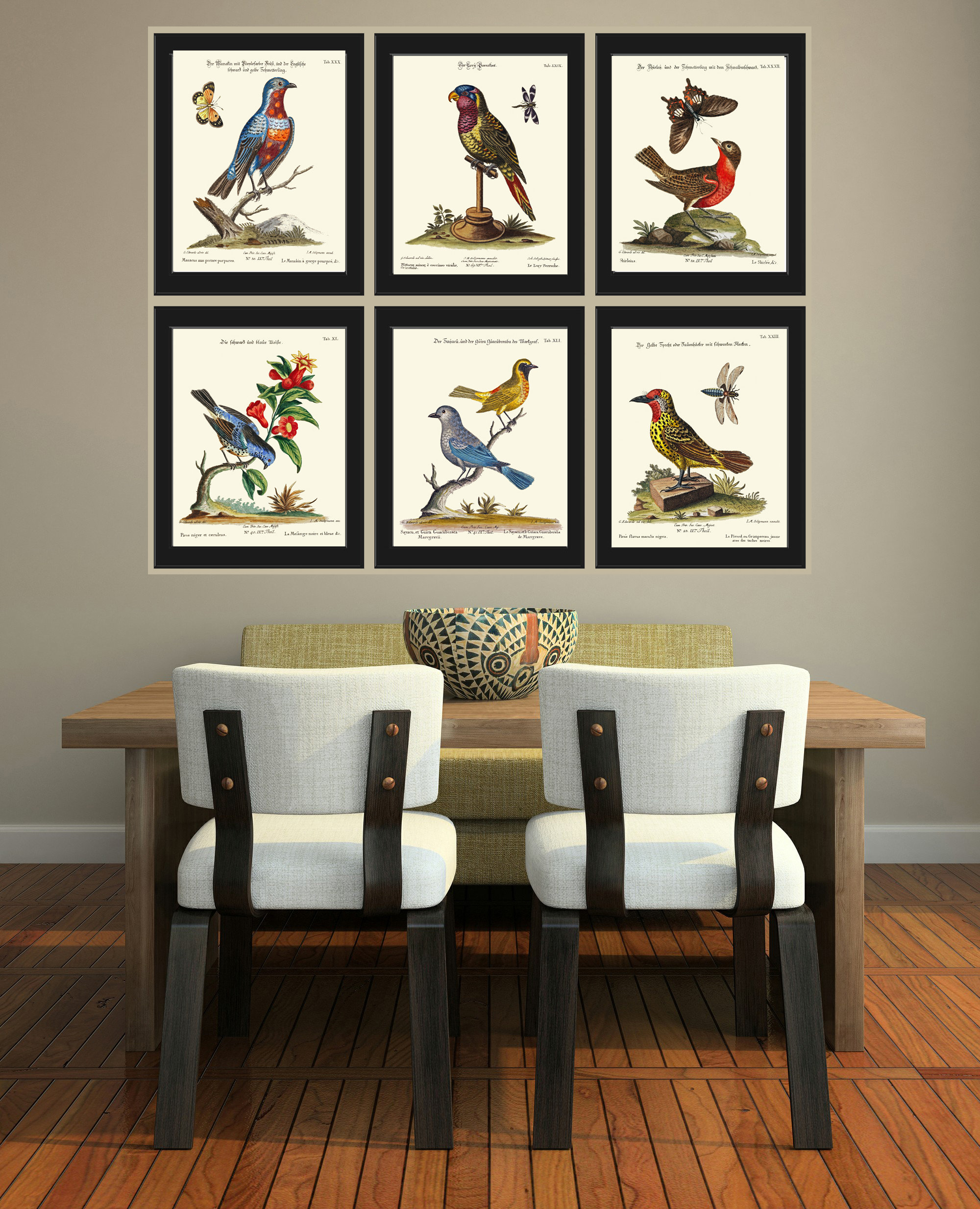 Beautiful Bird Wall Art Print Set of 6 Prints Antique Butterflies ...