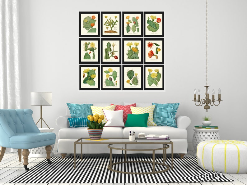 Cactus Botanical Wall Decor Art Set of 12 Prints Beautiful Antique ...