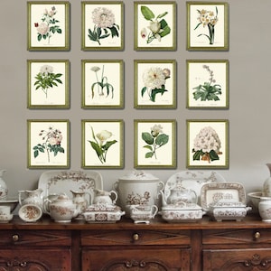 White Flower Botanical Prints Wall Art Set of 12 Beautiful Antique ...