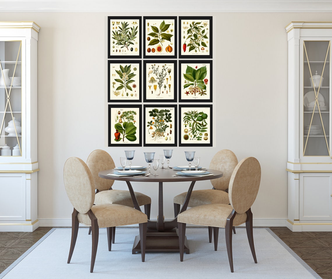 Herbs and Spices Print Set Botanical Wall Art of 9 Prints - Etsy