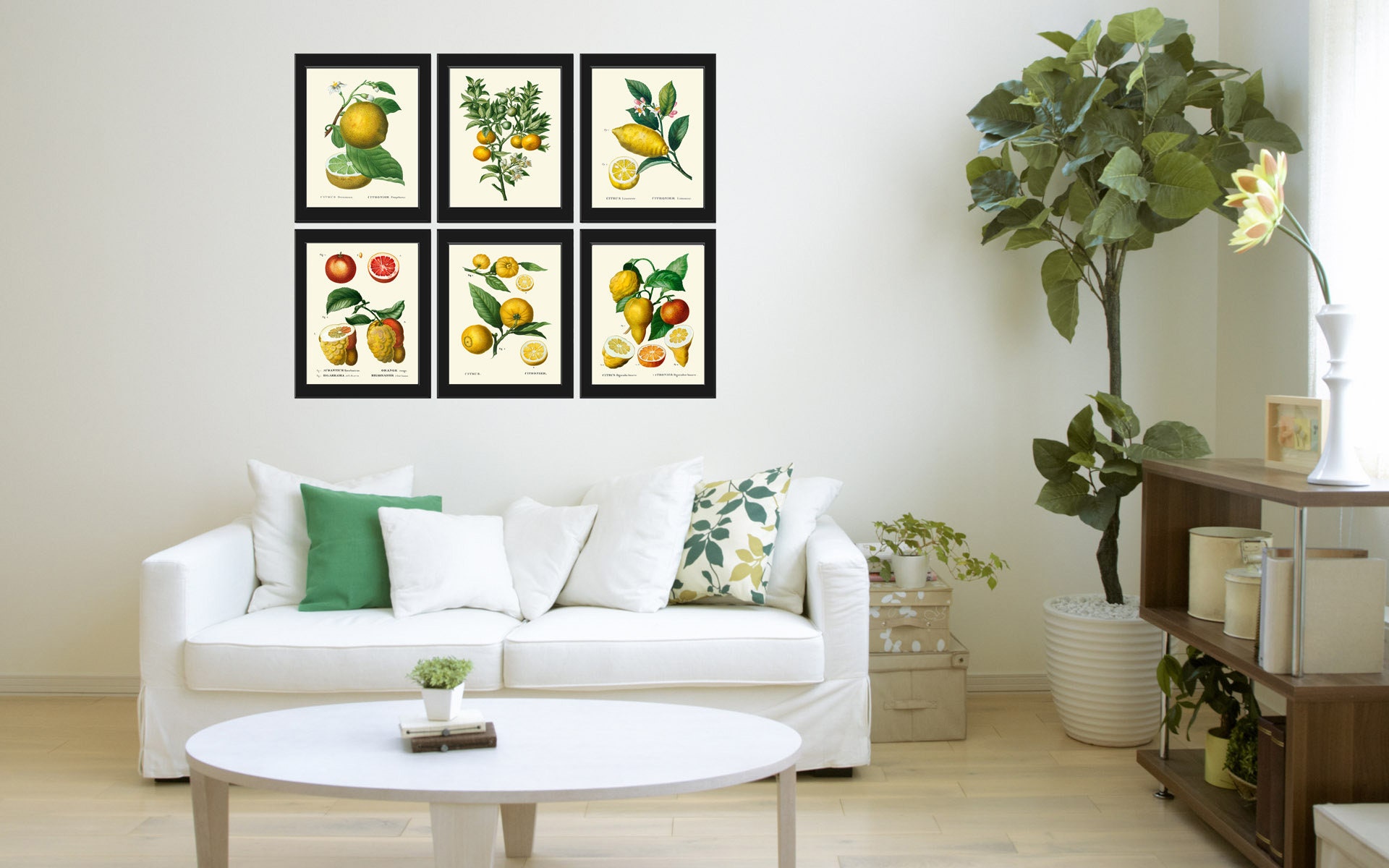 Citrus Fruit Lemon Orange Wall Decor Prints Art Set 6 Beautiful ...