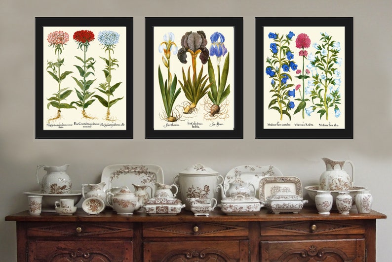 Botanical Wall Art Set of 3 Prints Beautiful Antique Vintage Pink Blue ...
