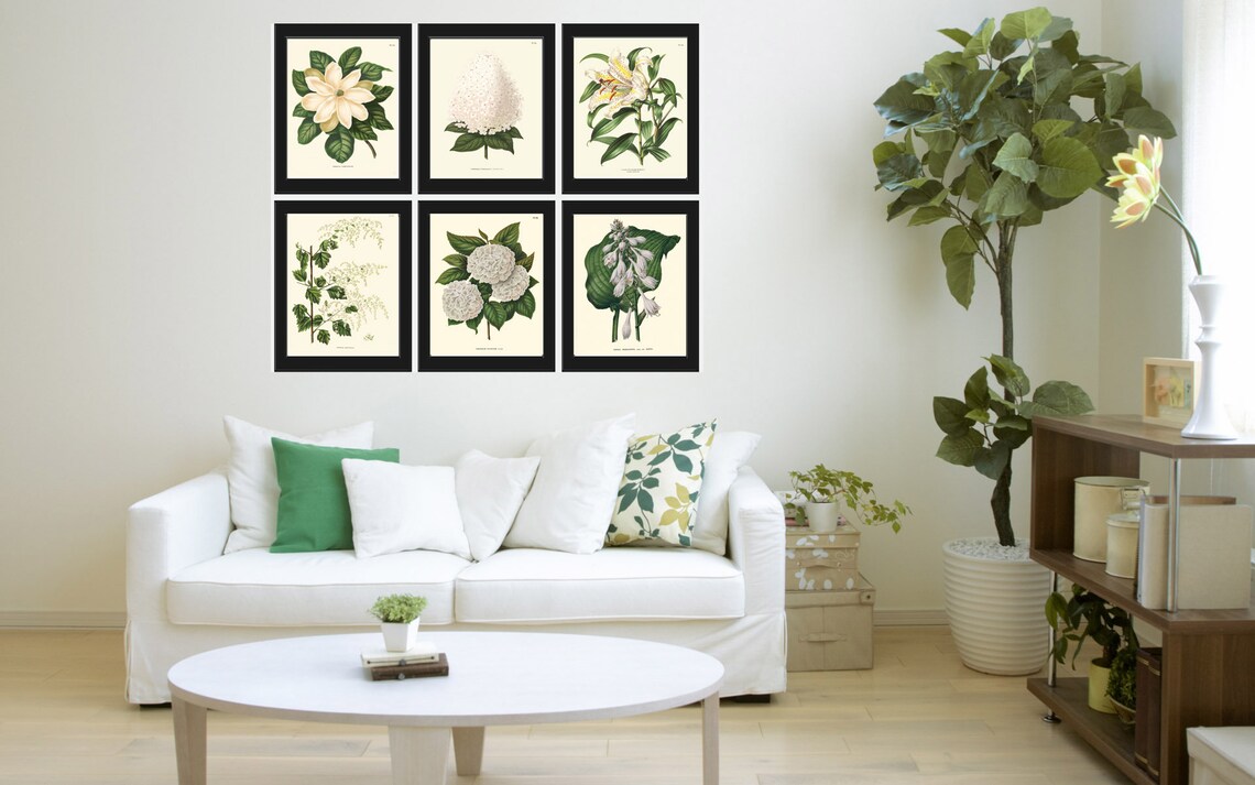 White Flowers Botanical Wall Art Set of 6 Prints Beautiful Vintage ...