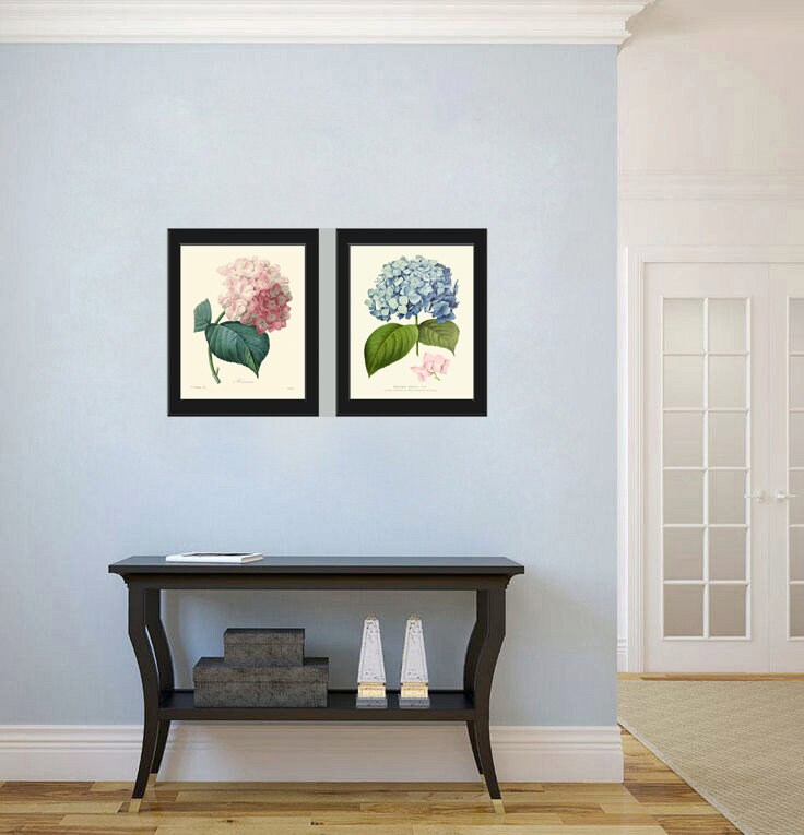 Hydrangea Gartensia Prints Wall Art Set of 2 Pink Blue Flowers Vintage ...