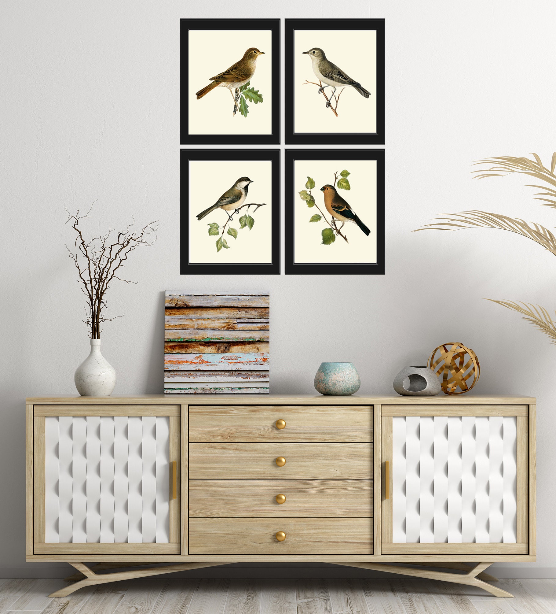 Vintage Bird Home Decor Wall Art Illustration Print Set of 4 Beautiful ...