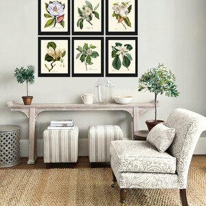 White Magnolia Botanical Prints Wall Decor Art Set of 6 Beautiful ...