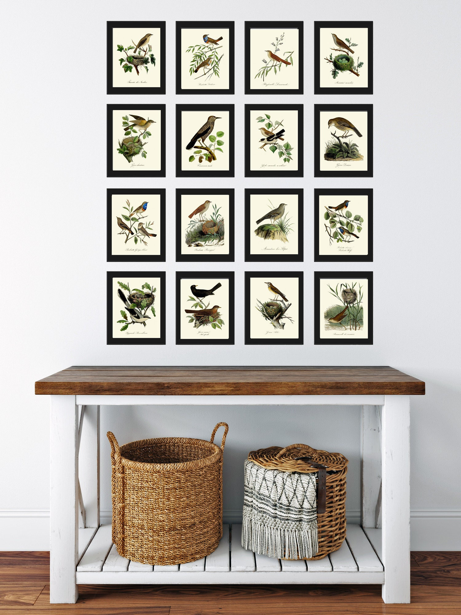Vintage Bird Wall Art Gallery Set of 16 Prints Beautiful Antique Nest ...