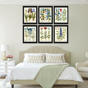 Blue Pink Flowers Botanical Wall Art Set of 6 Prints Beautiful Vintage ...