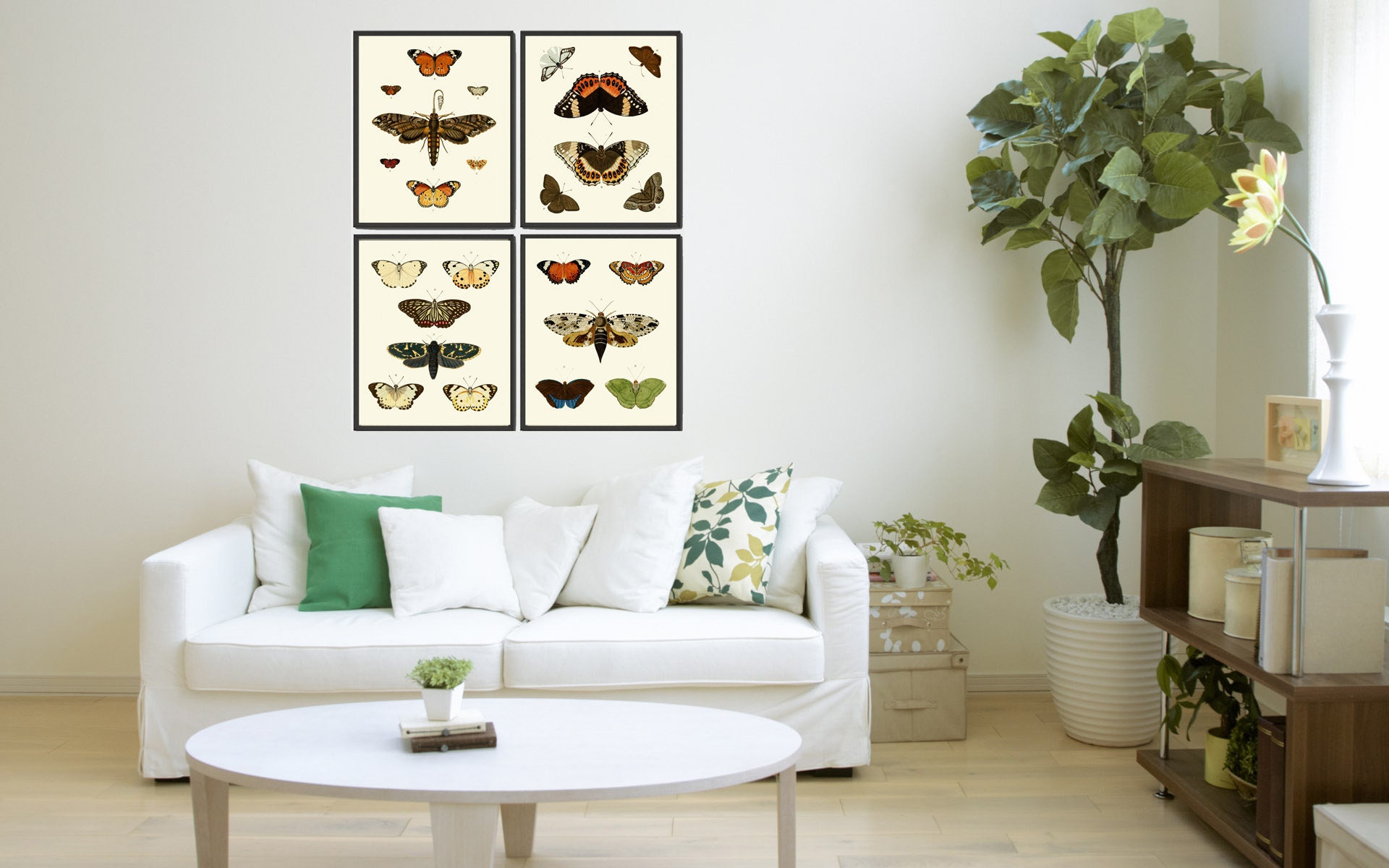 Vintage Butterfly Wall Art Print Set of 4 Antique Vintage Neutral Color ...