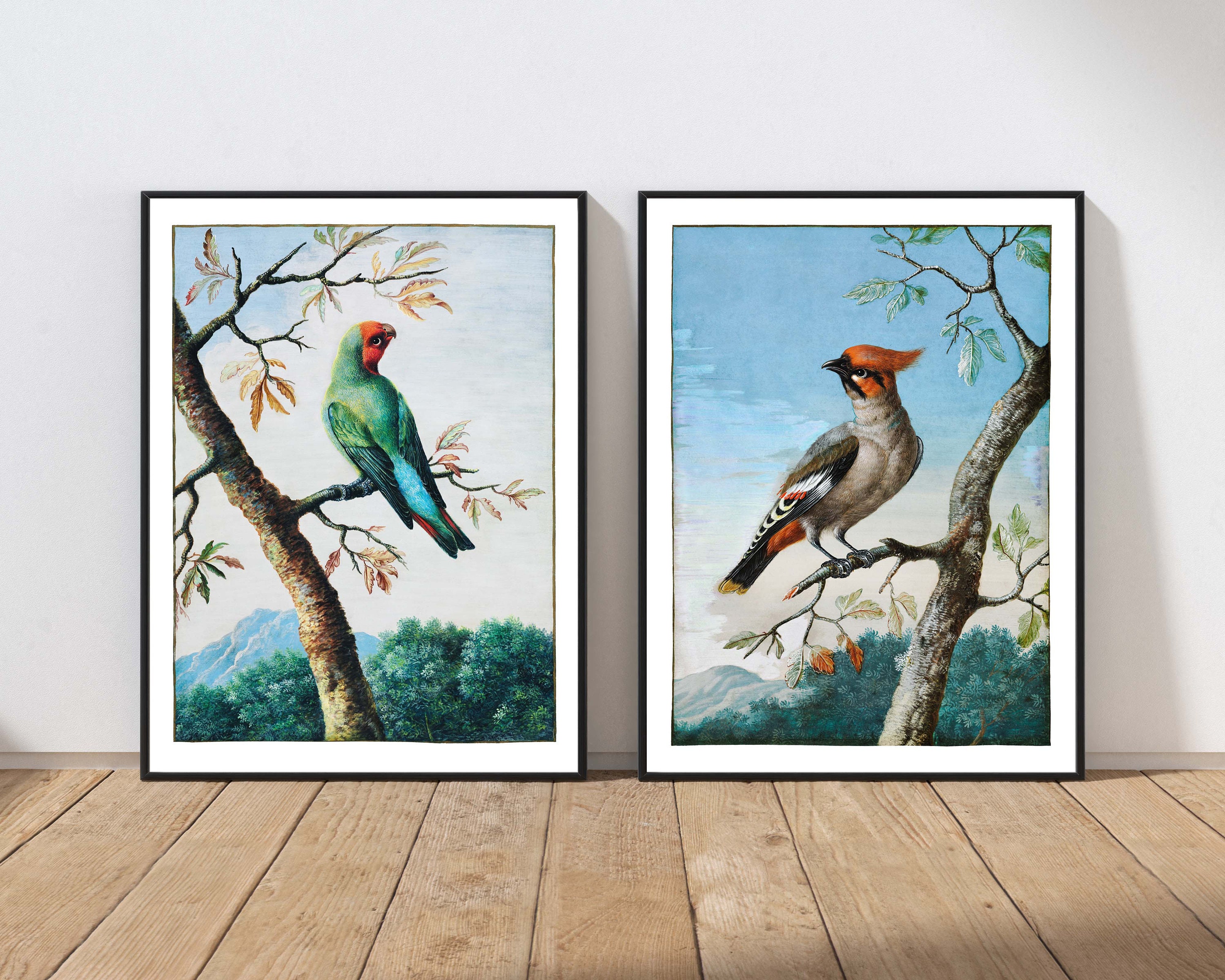 Vintage Bird Prints Wall Art Set of 2 Beautiful Antique Painting Red ...