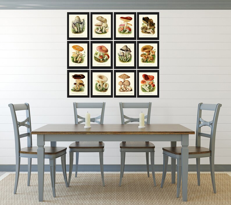 May include: A set of 12 framed vintage mushroom illustrations. The illustrations are in a botanical style and feature various types of mushrooms with different colours and shapes. The frames are black and the illustrations are on a white background. The illustrations are displayed on a white wall above a grey dining table with four grey chairs.