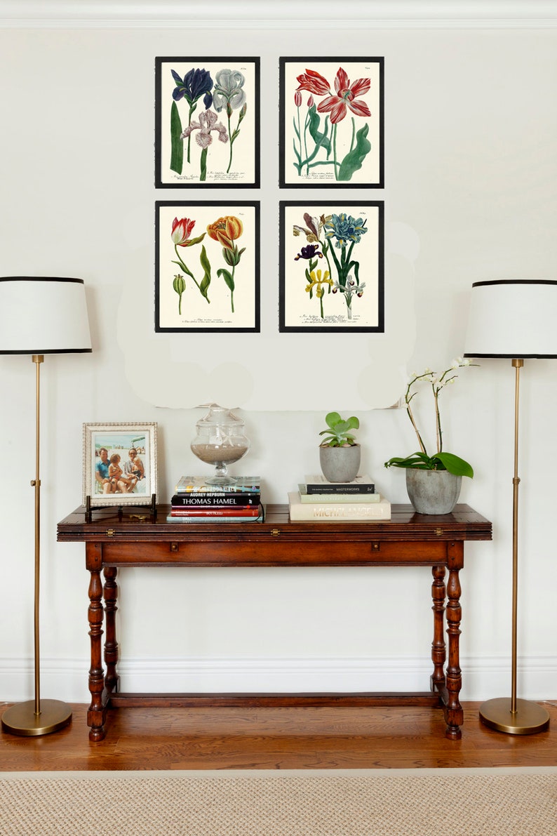 Iris and Tulip Botanical Print Set of 4 Prints Beautiful Antique Wall ...