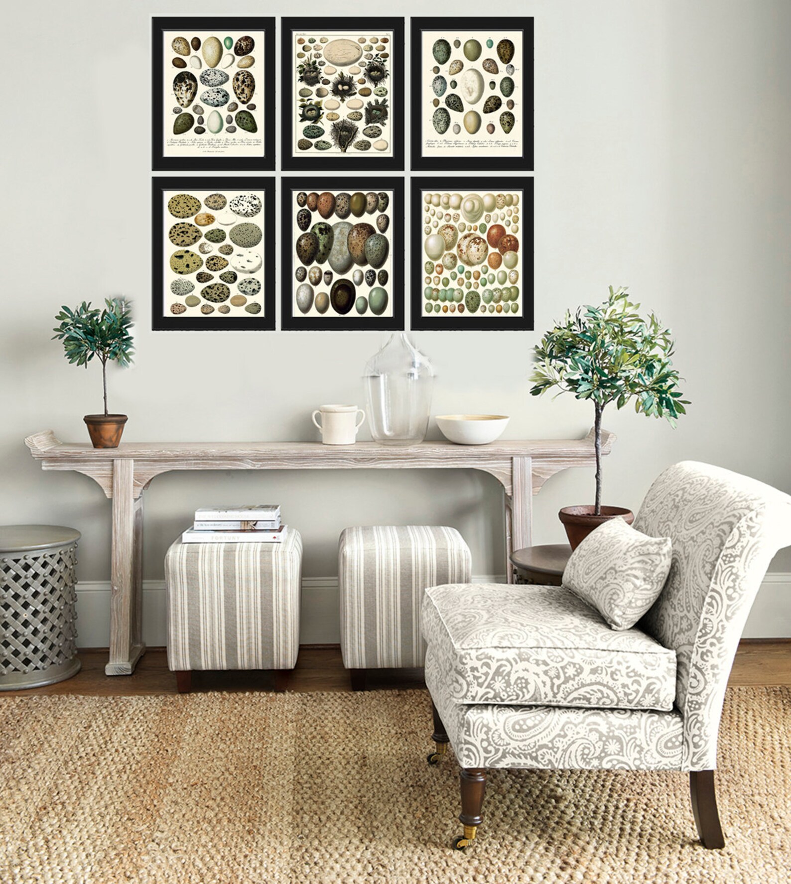 Vintage Bird Eggs Wall Art Print Set of 6 Beautiful Antique Etsy