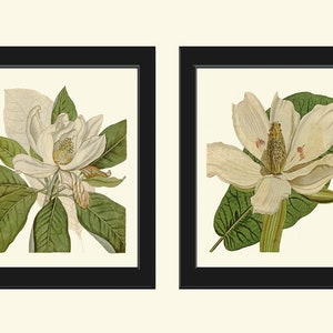 vintage Magnolia Fleur Botanique Impressions Art Mural Ensemble de 2 Beaux Arbres Antique Fleurs Blanches Grande Affiche Décoration Intérieure à Encadrer CU