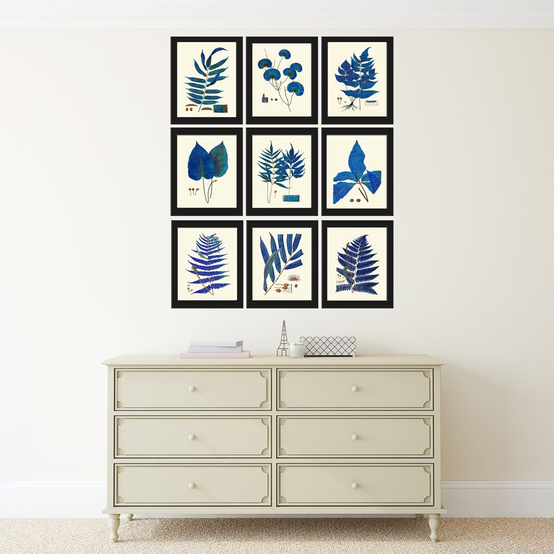 Blue Botanical Fern Print Wall Art Set of 9 Beautiful Antique Vintage ...