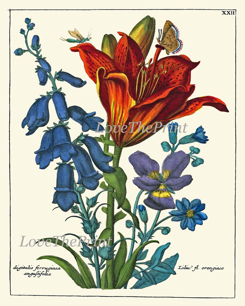 Botanical Prints Wall Art Decor Set of 4 Beautiful Antique Vintage Blue ...