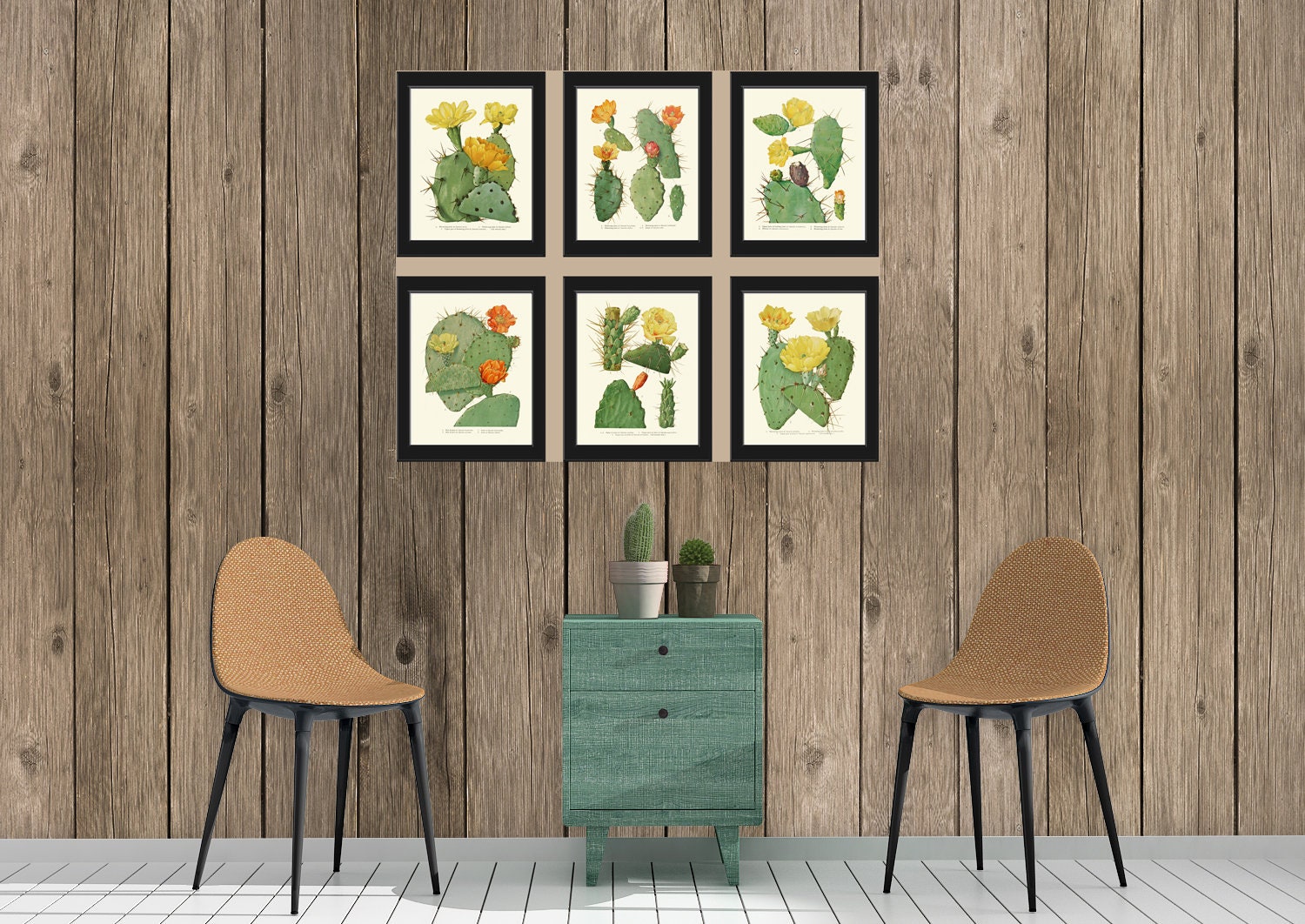 Cactus Botanical Wall Decor Art Set of 6 Prints Beautiful Antique ...
