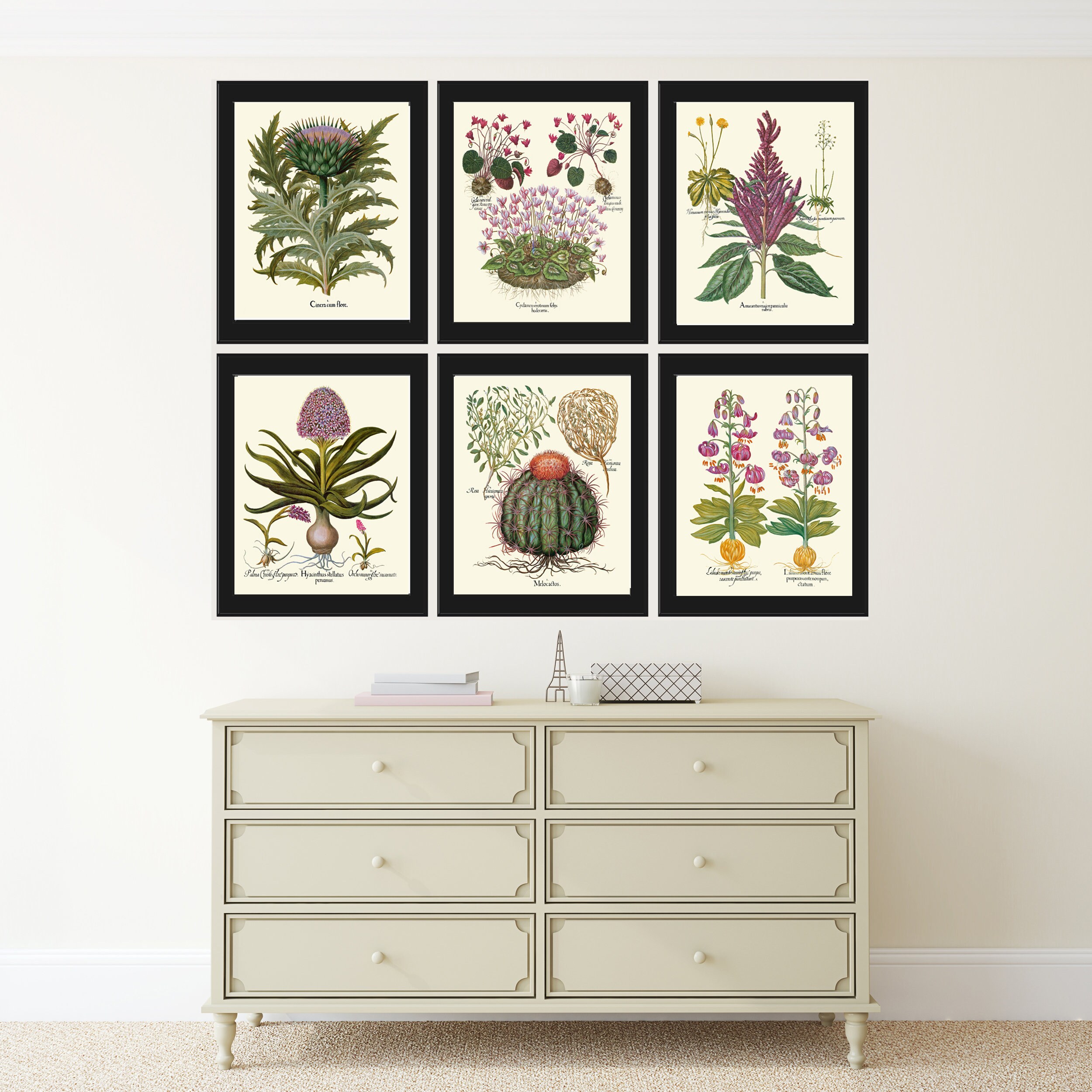 Botanical Wall Home Decor Art Set of 6 Prints Beautiful Antique Vintage