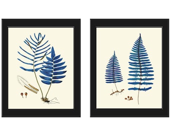 Blue Fern Botanical Prints Wall Art Set of 2 Beautiful Antique Vintage Cottage Farmhouse Cabin Forest Outdoor Nature Home Decor to Frame HWB