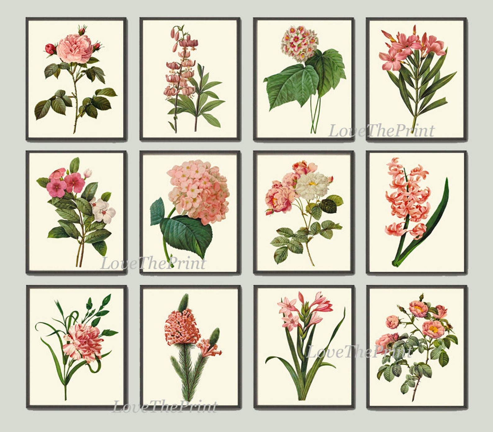 Pink Flowers Botanical Wall Art Set of 12 Prints Beautiful Antique ...