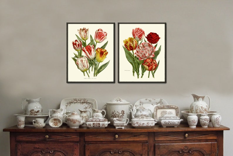 Tulip Flower Prints Wall Art Set of 2 Vintage Antique - Etsy