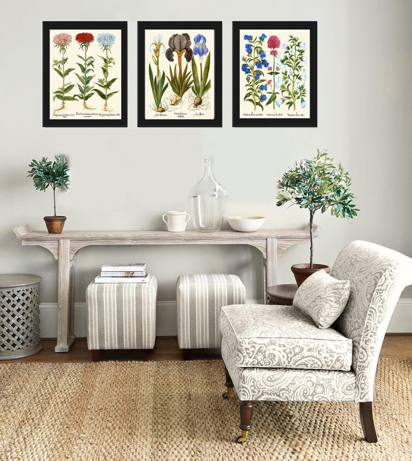 Botanical Wall Art Set of 3 Prints Beautiful Antique Vintage Pink Blue ...