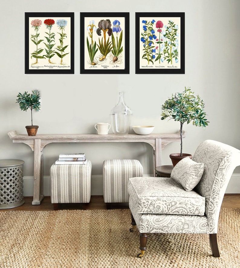 Botanical Wall Art Set of 3 Prints Beautiful Antique Vintage Pink Blue ...