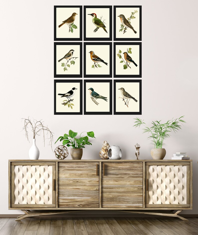 Vintage Bird Prints Wall Art Decor Set of 9 Beautiful Antique Farmhouse ...