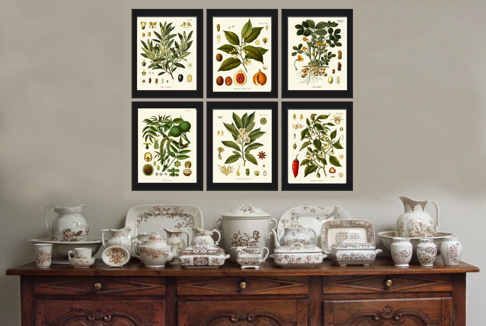 Herbs Spices Prints Wall Art Set of 6 Beautiful Botanical Kitchen ...