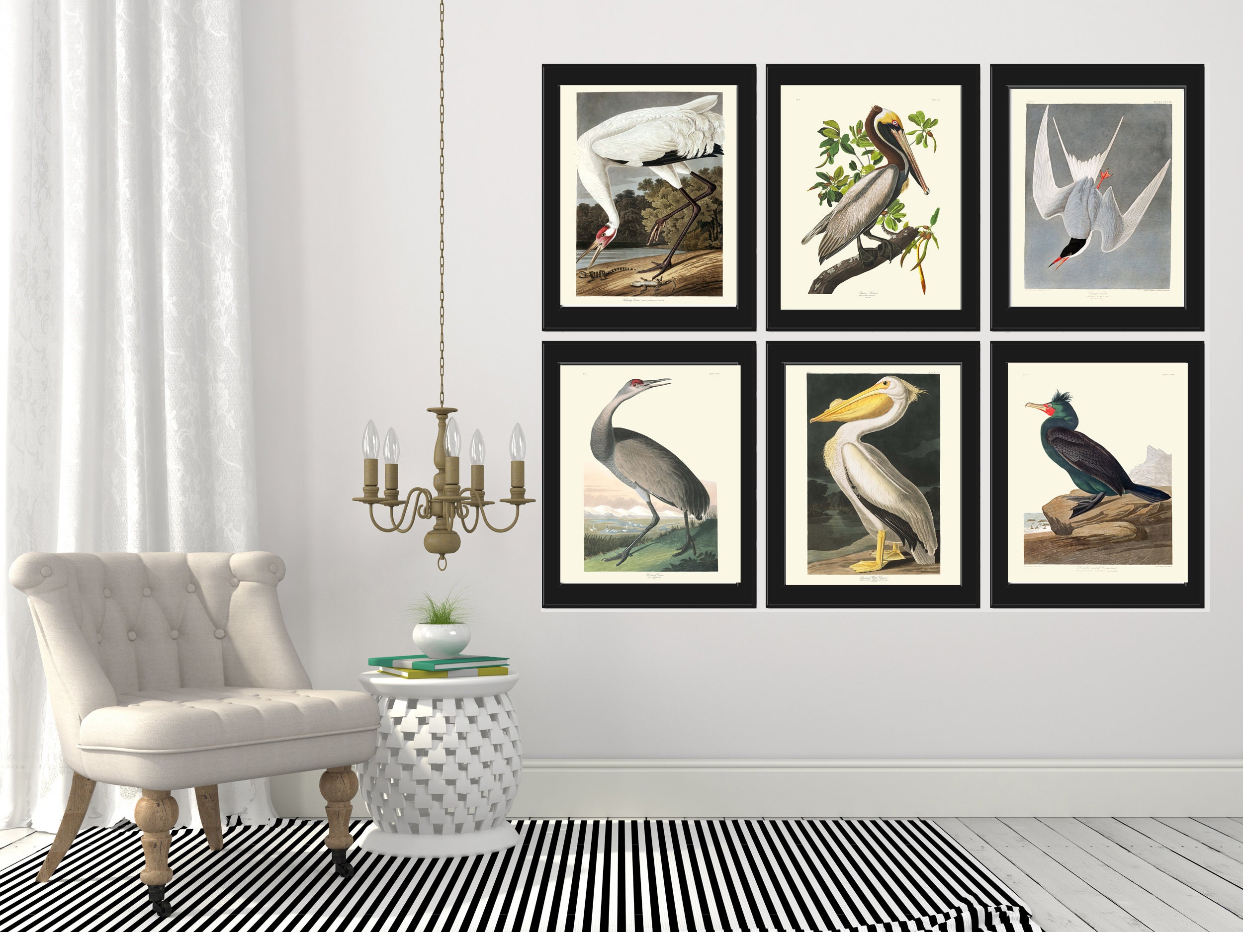 James Audubon Bird Wall Art Print Set of 6 Prints Beautiful Vintage ...