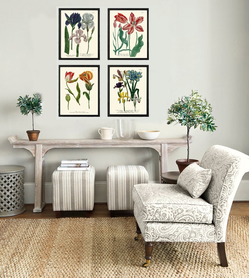 Iris and Tulip Botanical Print Set of 4 Prints Beautiful Antique Wall ...
