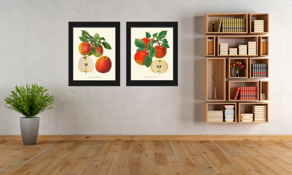 set of 2 kitchen prints | kitchen wall art, fruit wall... Red Apple Botanical Fruit Wall Art Set of 2 Beautiful Vintage Antique ...